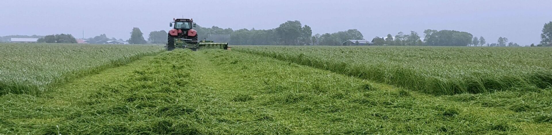 Seeing the Benefits of Sulfur Fertilizer