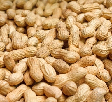 Polysulphate<sup>®</sup> Peanut Trial in Vietnam