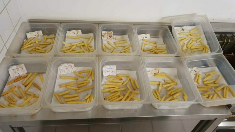 Plastic trays containing batches of cooked French fries labeled with sample numbers, showing results from a study demonstrating how ICL fertilizers, Polysulphate, and ICL PotashpluS improved fry color and quality.