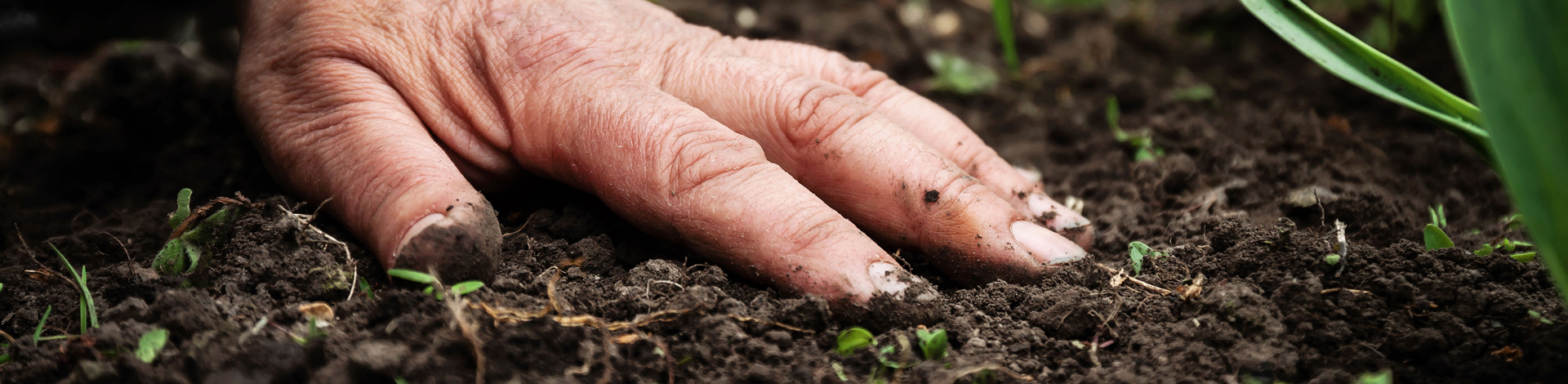 Usa Polysulphate para Reducir la Huella de Carbono de tu Operación Agrícola