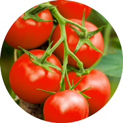 Crop image