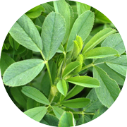 Crop image