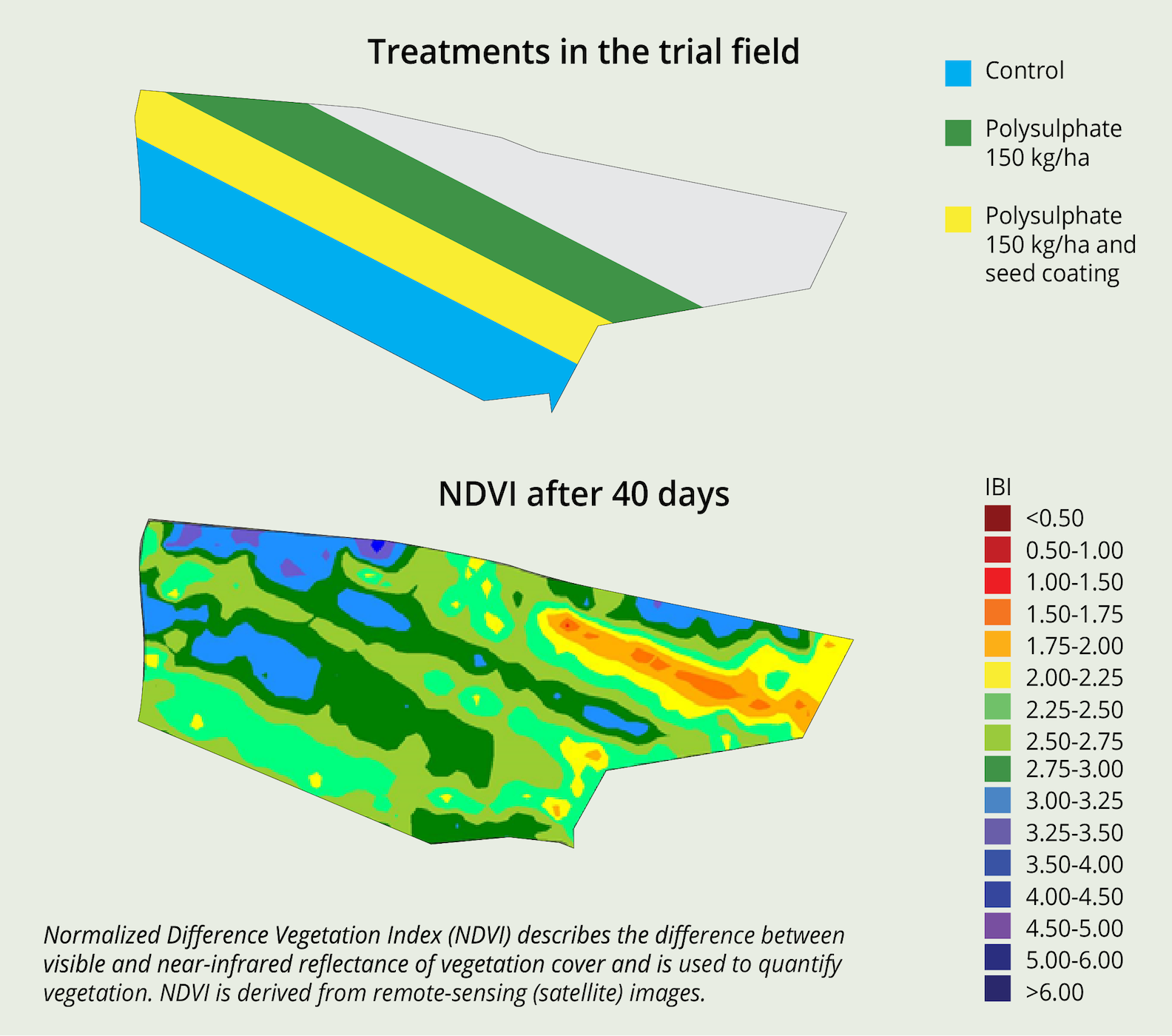 Imagistica prin satelit a indicat un NDVI mai mare (verde și albastru) pe fâșiile cu Polisulfat, prezentând astfel o vegetație mai densă decât practica agricolă.