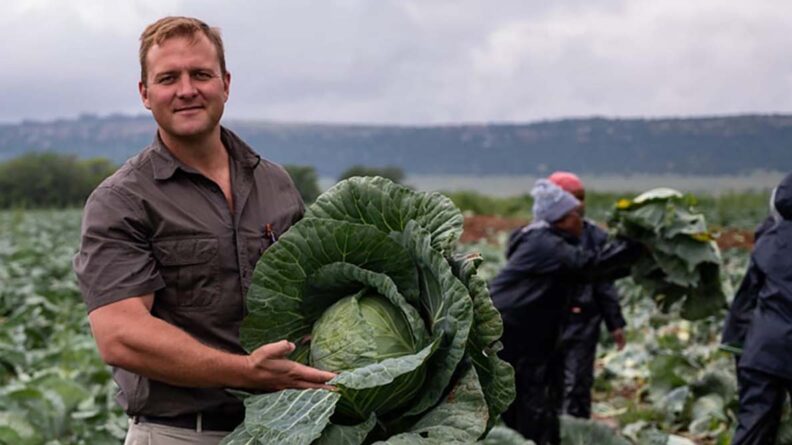 Smiling farmer standing in a lush green field holding freshly harvested produce, symbolizing the successful adoption and positive impact of Polysulphate® fertilizers across southern Africa.