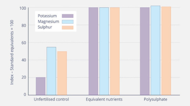 Relativní příjem živin z hnojiva Polysulphate ve srovnání s ekvivalentním standardním zdrojem živin a nehnojenou kontrolou.