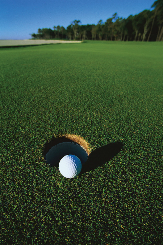 Golfový míček na greenu