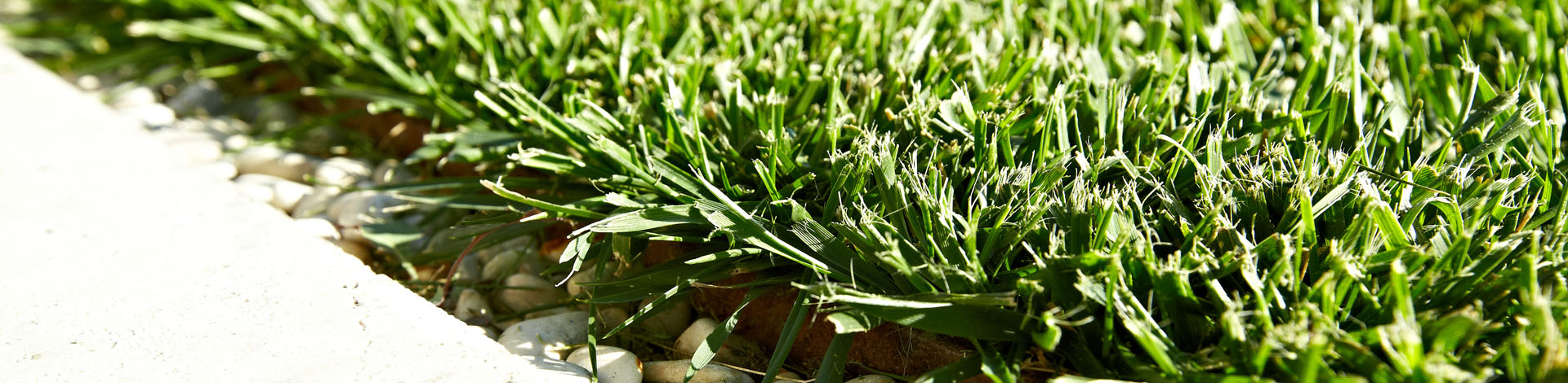 SMART Turf | Video clip dei prodotti