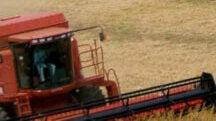 Proving the Power of Polysulphate in Brazil