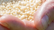Maximize Nutrient Use Efficiency with CRF