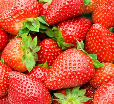 Polysulphate<sup>®</sup> Strawberry Trial in Colombia