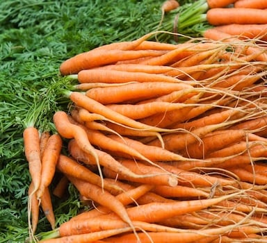Polysulphate<sup>®</sup> Carrot Trial in France