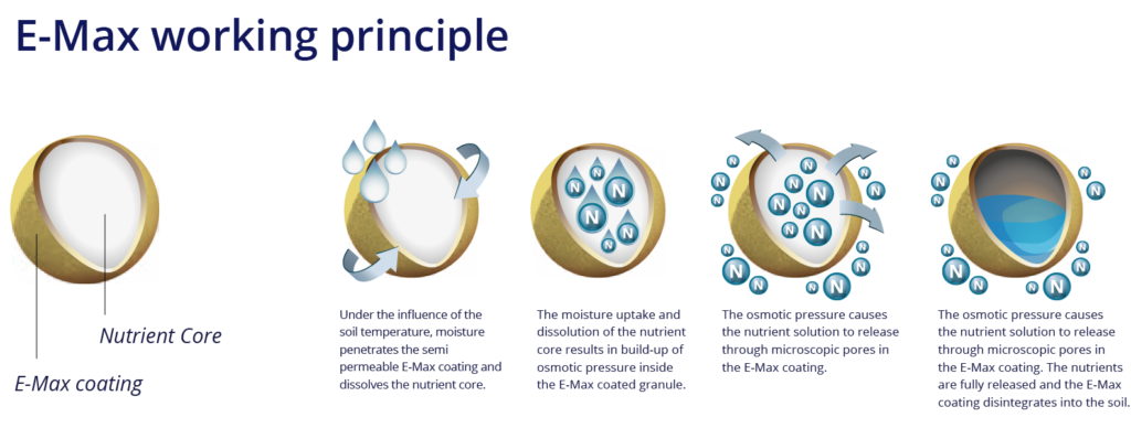 Illustration explaining the E-Max working principle, showing how moisture penetrates the E-Max coating to dissolve the nutrient core, leading to osmotic pressure buildup and gradual nutrient release through microscopic pores, until the coating disintegrates in the soil.