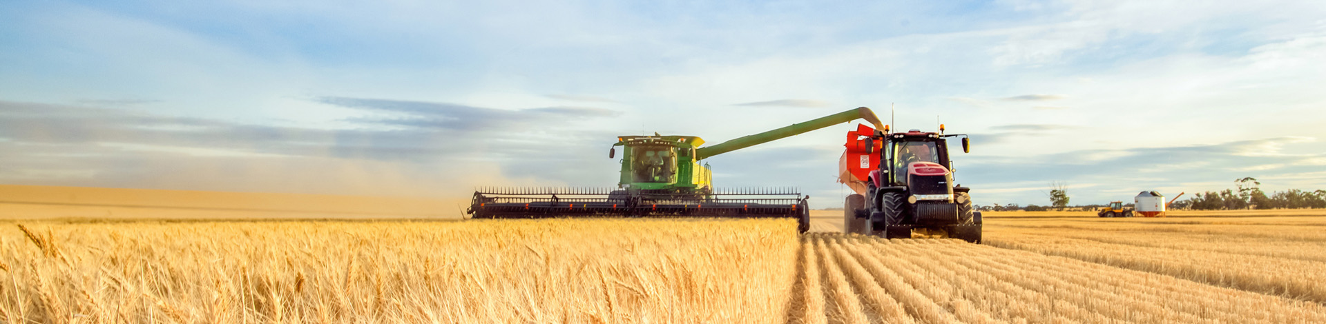 Barley Trial with Polysulphate