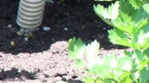 Innovation and Sustainability go Hand in Hand at ICL