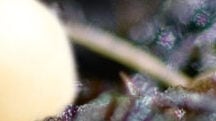 Improving Sustainability in Agriculture with eqo.x<sup>®</sup>
