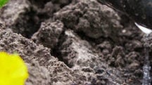Чому вода не просочується у гідрофобний ґрунт