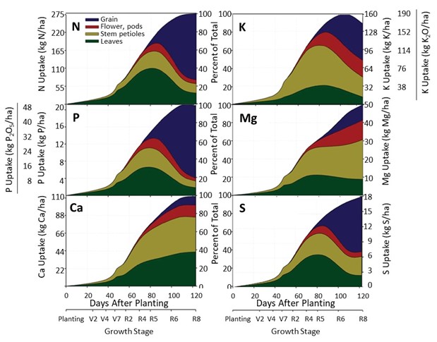 Graphs showing nutrient uptake in soybeans over days after planting for nitrogen (N), phosphorus (P), potassium (K), magnesium (Mg), calcium (Ca), and sulfur (S), divided by plant parts — leaves, stem/petioles, flowers/pods, and grain — across growth stages from planting to R8.