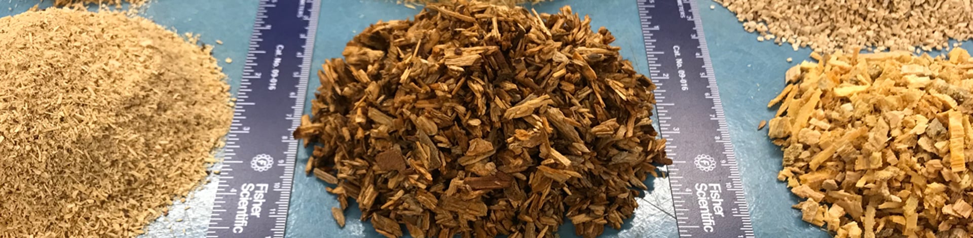 Die Welt der Holzfasern – Teil 2