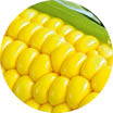 Crop image