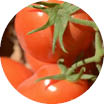 Crop image