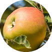 Crop image