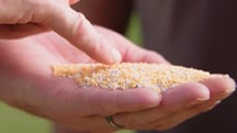 Video with Dr Andy Owen on Sustainable Turf Management