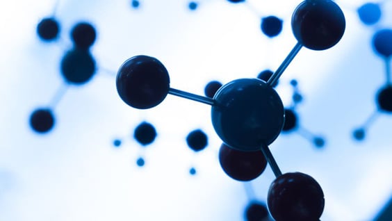 New Partnership for Bio-Stimulant Development