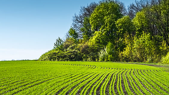 Polysulphate<sup>®</sup> Organic Approval: USA, EU & Japan