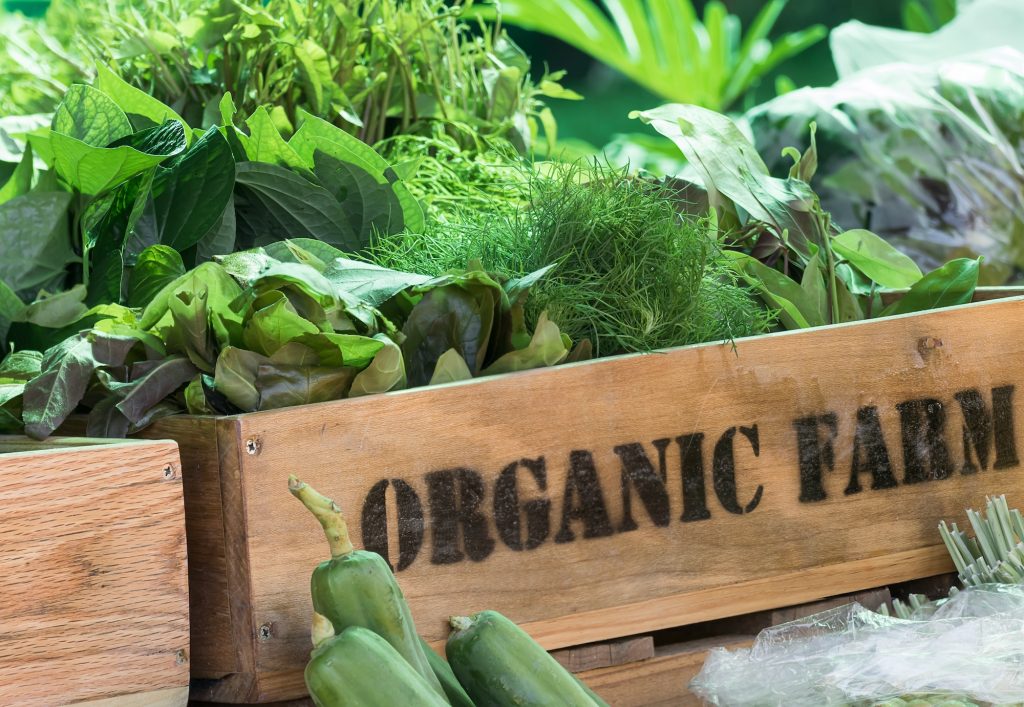 Wooden crate labeled “Organic Farm” filled with fresh green vegetables and herbs, including leafy greens and bell peppers, displayed in a bright, natural outdoor setting.