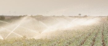 Wetting Agents