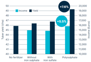 Bar chart comparing potato tuber yield (t/ha) and income (euros) under four fertilizer treatments: No fertilizer, Without iron sulphate, With iron sulphate, and Polysulphate. Yield and income both increase progressively, with the highest values for Polysulphate showing +5.5% higher yield and +7.6% higher income compared to the next best treatment.