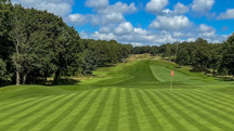 Two applications of an eqo.s fertilizer improved turf quality