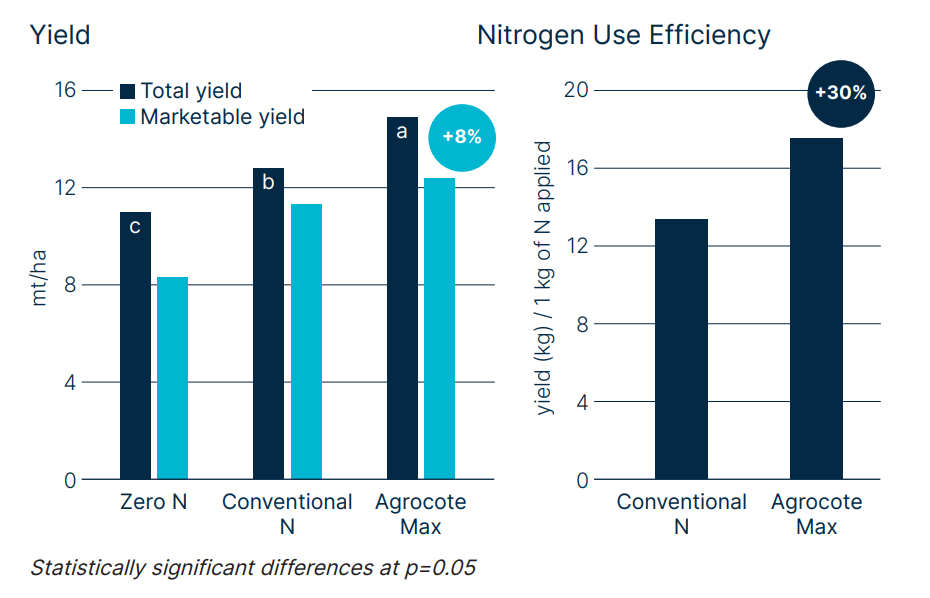Two bar charts comparing broccoli yield and nitrogen use efficiency. The left chart shows total and marketable yield for Zero N, Conventional N, and Agrocote Max treatments, with Agrocote Max giving 8% higher yield. The right chart shows nitrogen use efficiency, where Agrocote Max achieves a 30% higher yield per kilogram of nitrogen applied compared to Conventional N. Statistically significant differences are noted at p=0.05.