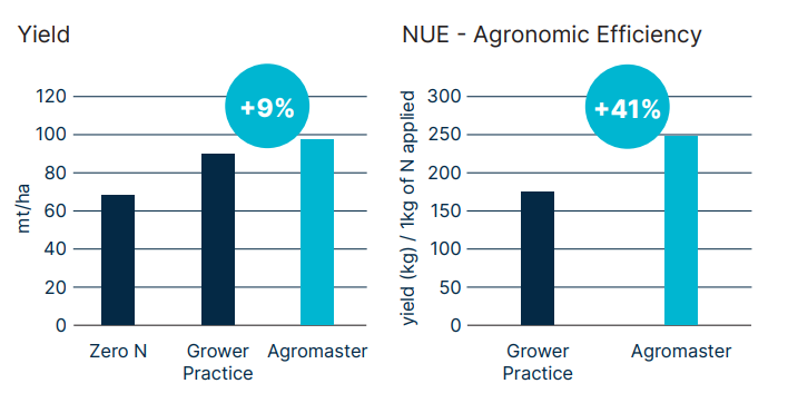 Two bar charts comparing onion yield and nitrogen use efficiency (NUE). The first shows yield increasing from Zero N to Grower Practice to Agromaster, with Agromaster providing a 9% yield increase. The second shows NUE improvement, with Agromaster achieving 41% higher efficiency than Grower Practice.
