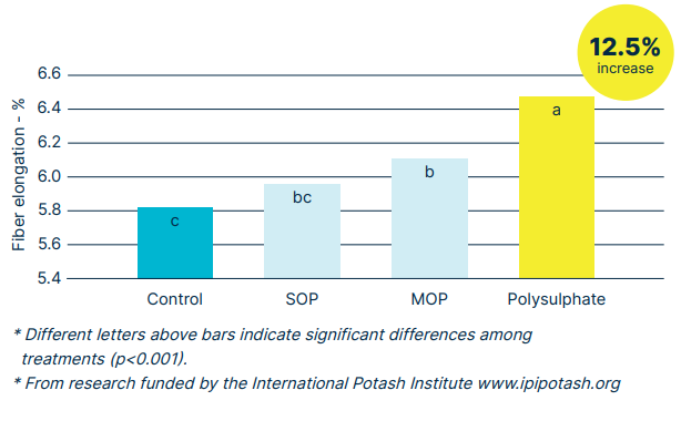 Bar chart showing the effect of different potassium sources on cotton fiber elongation. Treatments include Control, SOP, MOP, and Polysulphate. Polysulphate shows the highest fiber elongation at approximately 6.4%, representing a 12.5% increase over the control. Bars are labeled with different letters indicating significant statistical differences (p<0.001).