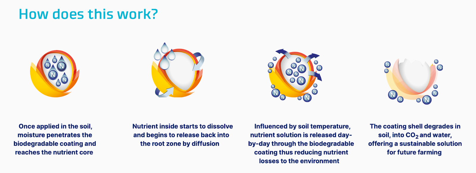 Graphic explaining how ICL's eqo.x controlled release fertilizer (CRF) coating works