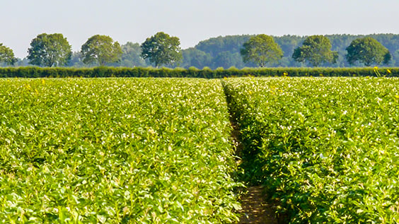 Using the CRF Timer to Track Nutrient Release