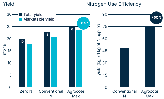 Two bar charts comparing onion yield and nitrogen use efficiency. The first shows total and marketable yield increasing from Zero N to Conventional N to Agrocote Max, with Agrocote Max achieving an 8% yield gain. The second chart shows nitrogen use efficiency rising by 50% with Agrocote Max compared to Conventional N.