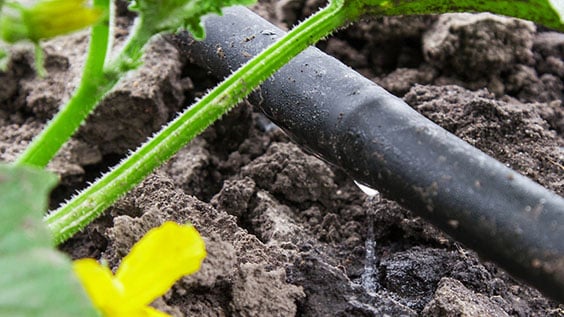 Створення нового стандарту з Agrolution