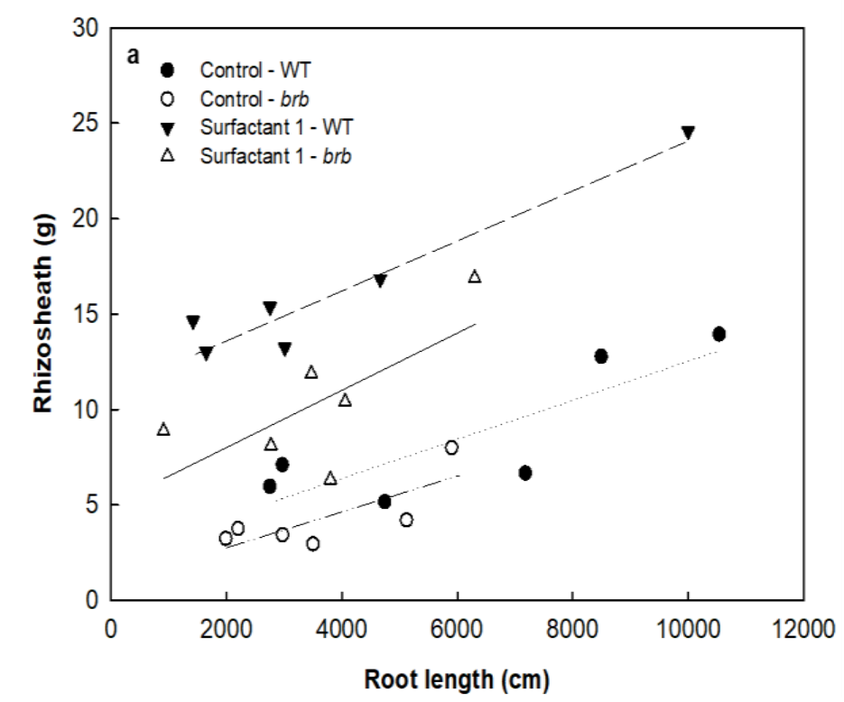 Chart showing the effect of surfactants on roots