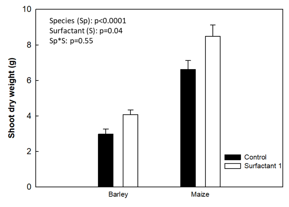 Chart showing the influence of surfactants on dry mass