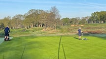 Integrated Turf Management can reduce Dollar Spot on Turf