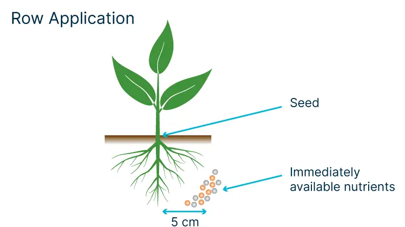 Row application of fertilizer, showing immediately available nutrients placed 5 cm from a plant's seed and roots.