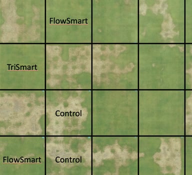 H2Pro Trismart reduces dry patch on golf greens