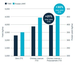 Bar chart showing barley yield and protein yield under three treatments: zero fertilizer (T1), chicken manure (T2), and chicken manure plus Polysulphate (T3). Yield increased by 21% with chicken manure and by 30% with Polysulphate compared to the zero treatment.