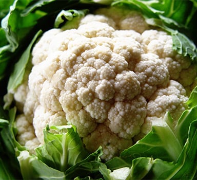 Agromaster<sup>®</sup> Improves Cauliflower Yield in Germany