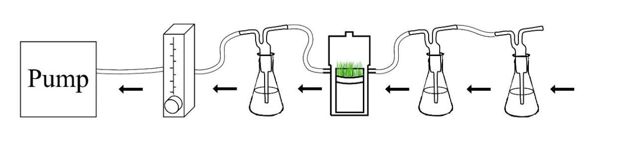 Scheme of the experimental set-up