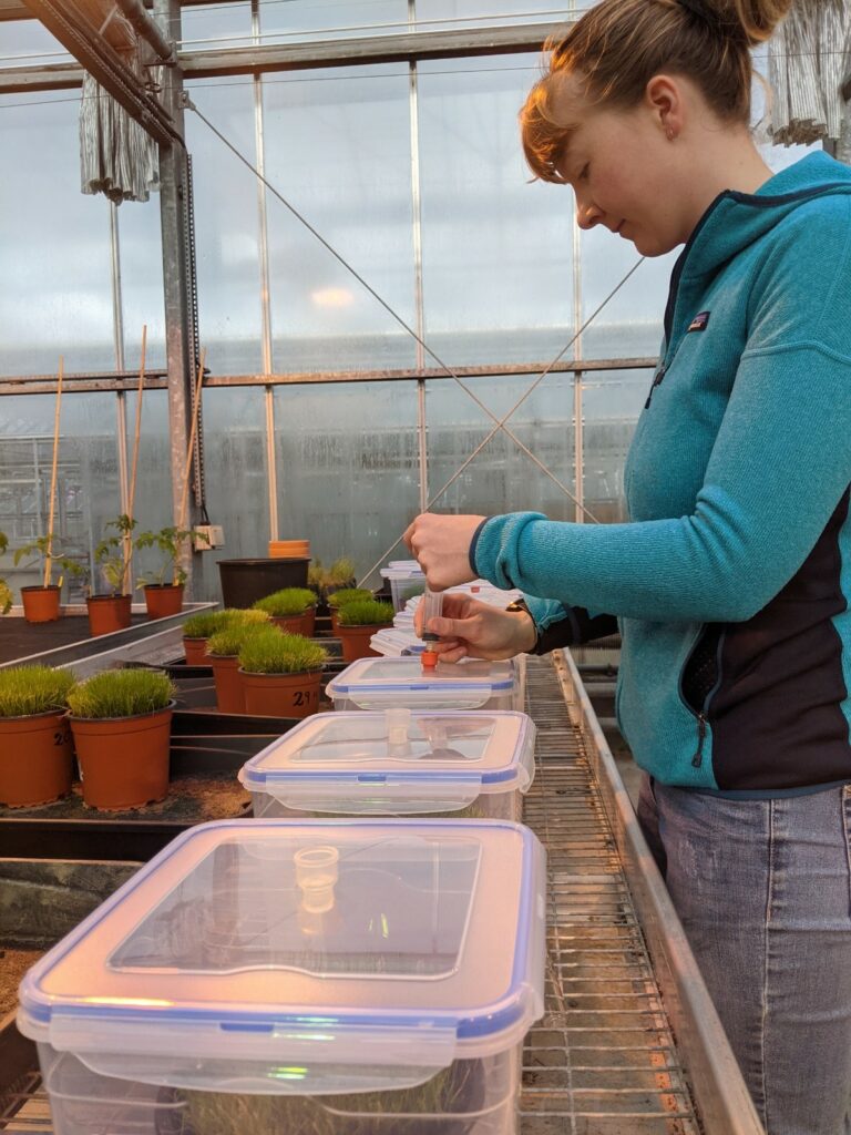 Taking gas samples for NO₂, CH₄ and CO₂