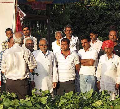 Potash for Life Reforms Indian Agriculture