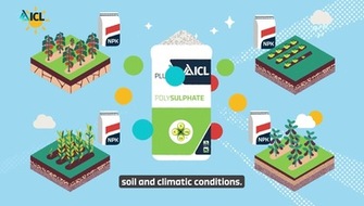 Polysulphate for NPK Production